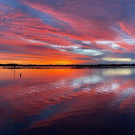 Sunrise Luxury Apartments Forster Buitenkant foto