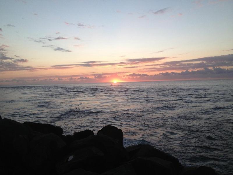 Sunrise Luxury Apartments Forster Buitenkant foto